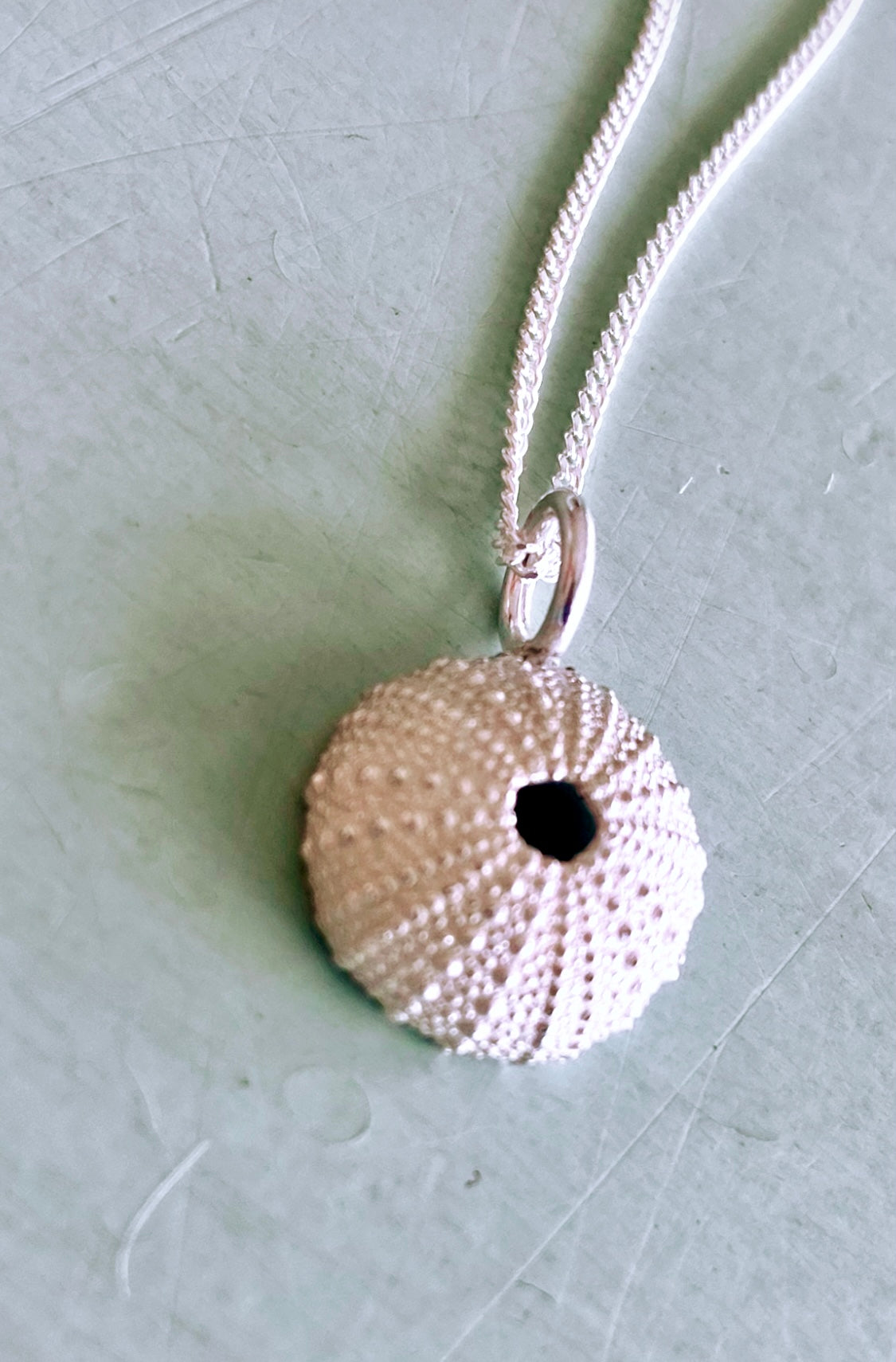 Close-up of a small sterling silver sea urchin pendant with a finely crafted chain link, highlighting its detailed texture.