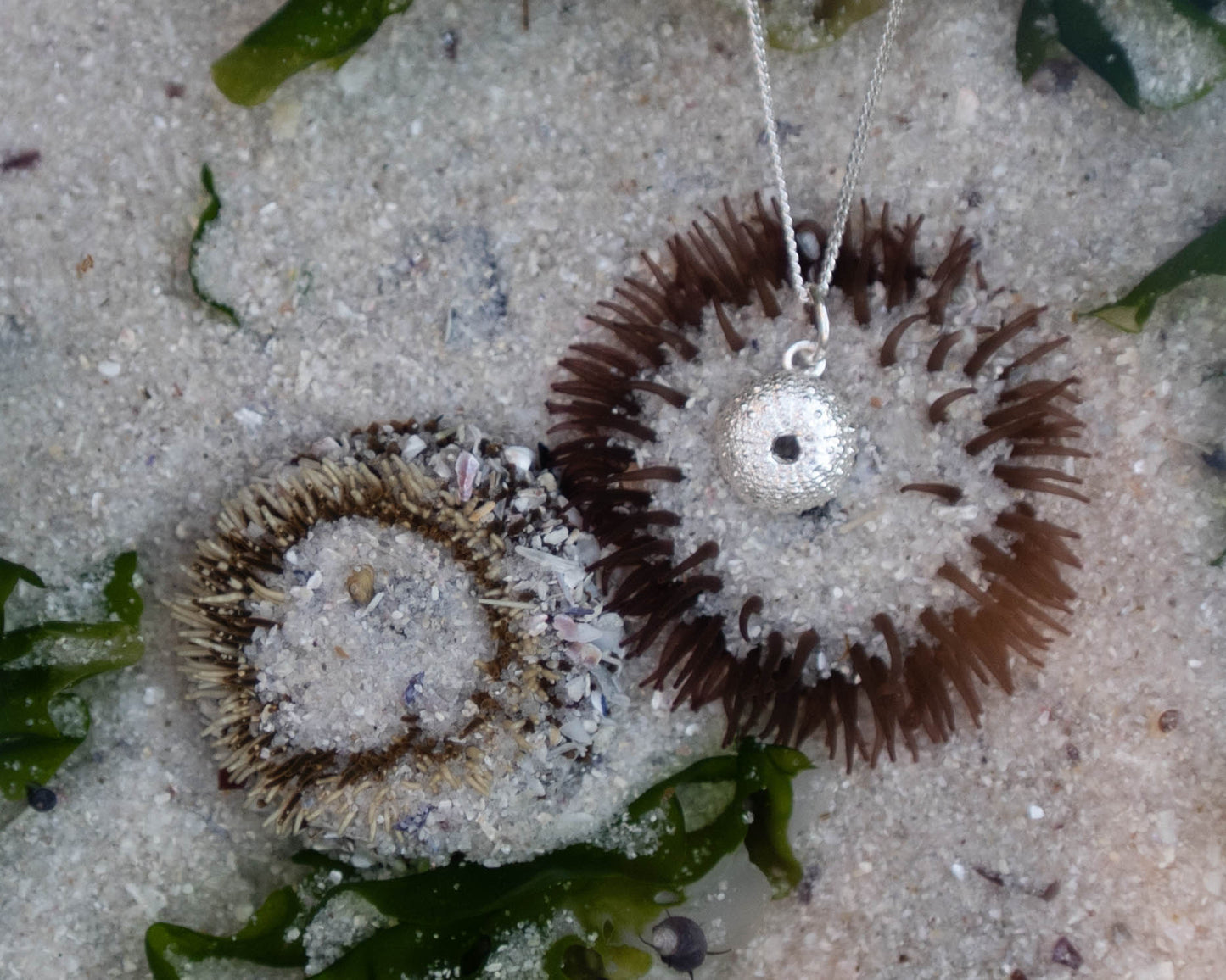 Small Sea Urchin Necklace