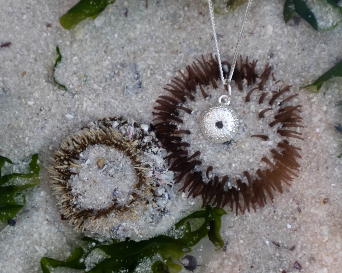 Miniature Sea Urchin Silver Necklace