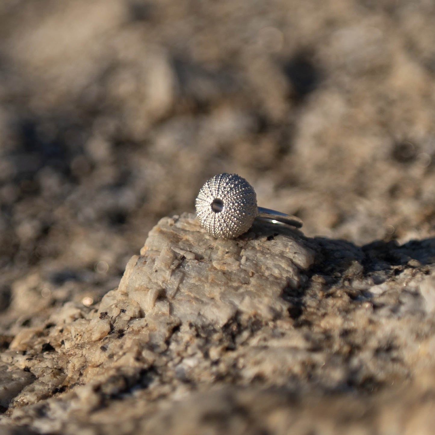 Medium Silver Sea Urchin Ring by Natasha Wood Jewellery - lifestyle on coastal rock