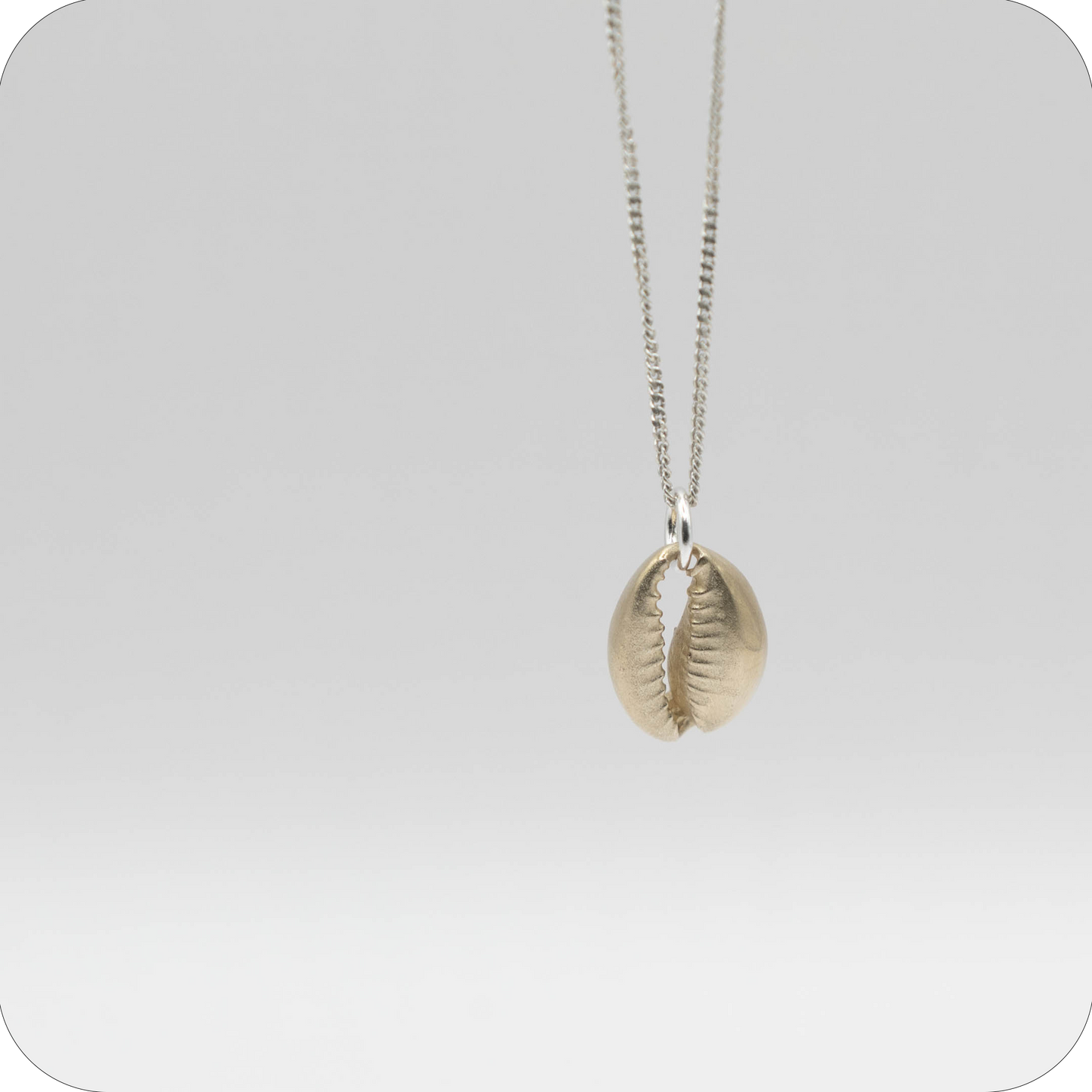 Cowrie Shell Pendant