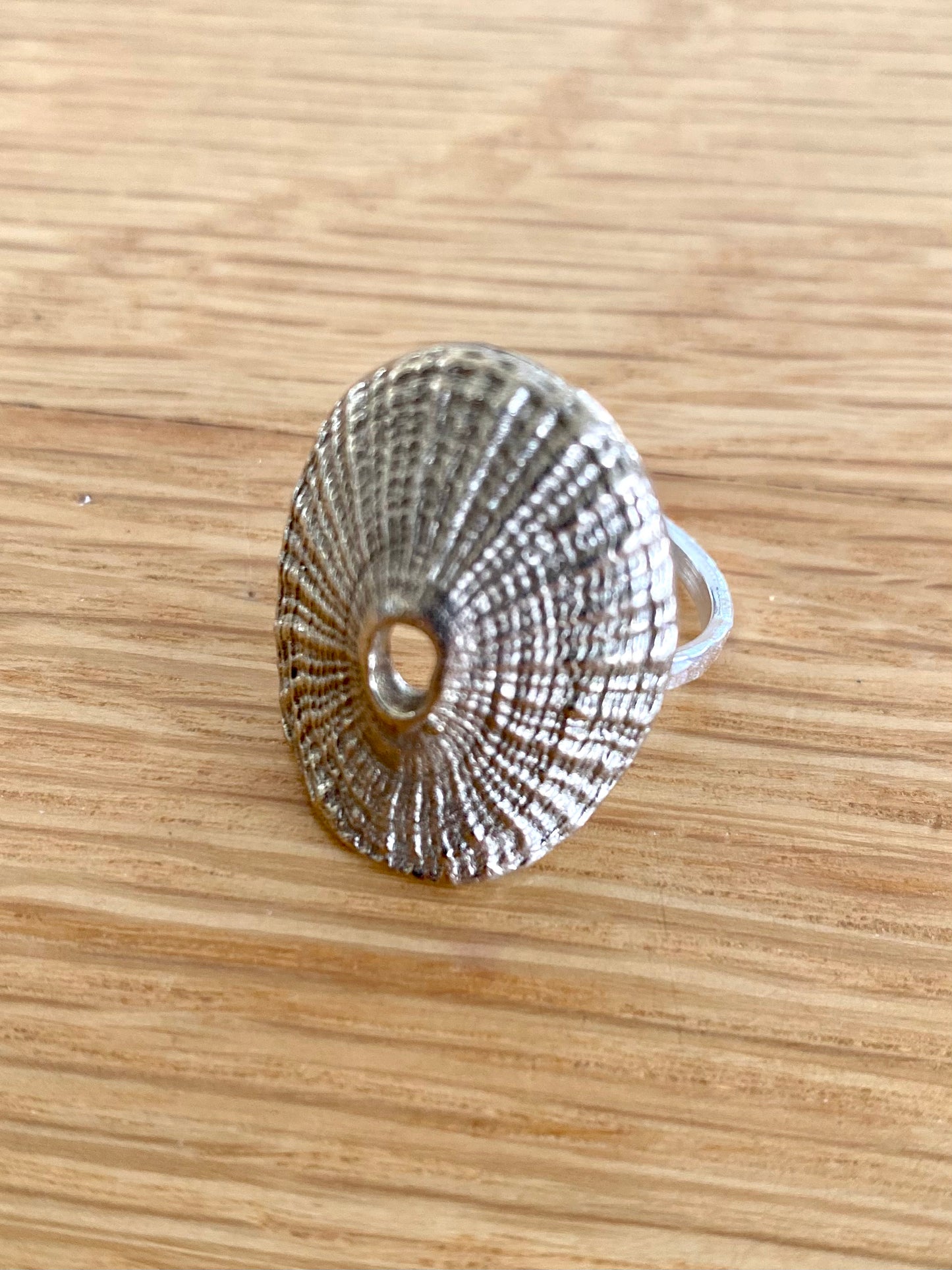 Silver textured seashell ring displayed on a wooden surface, capturing the intricate details and craftsmanship.