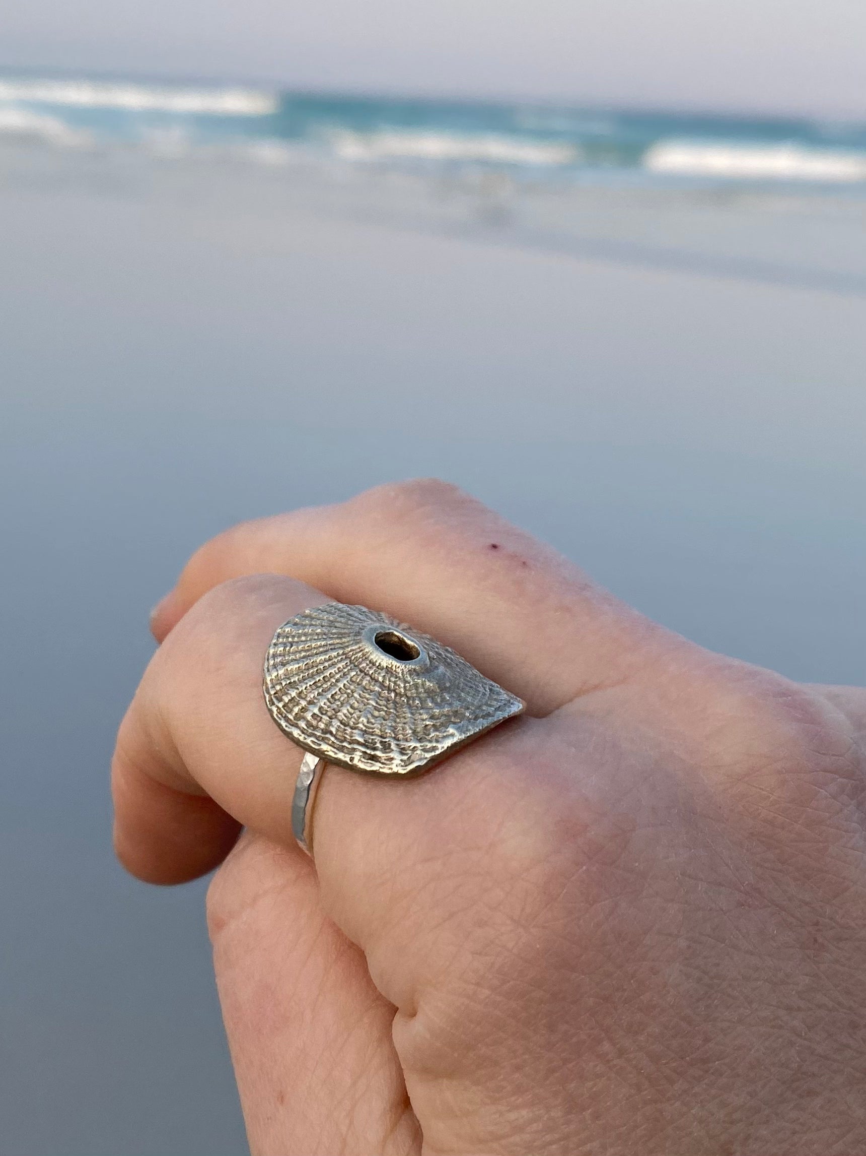 Silver Santa Maria shell ring showcased on a hand against a soft-focus seascape background.