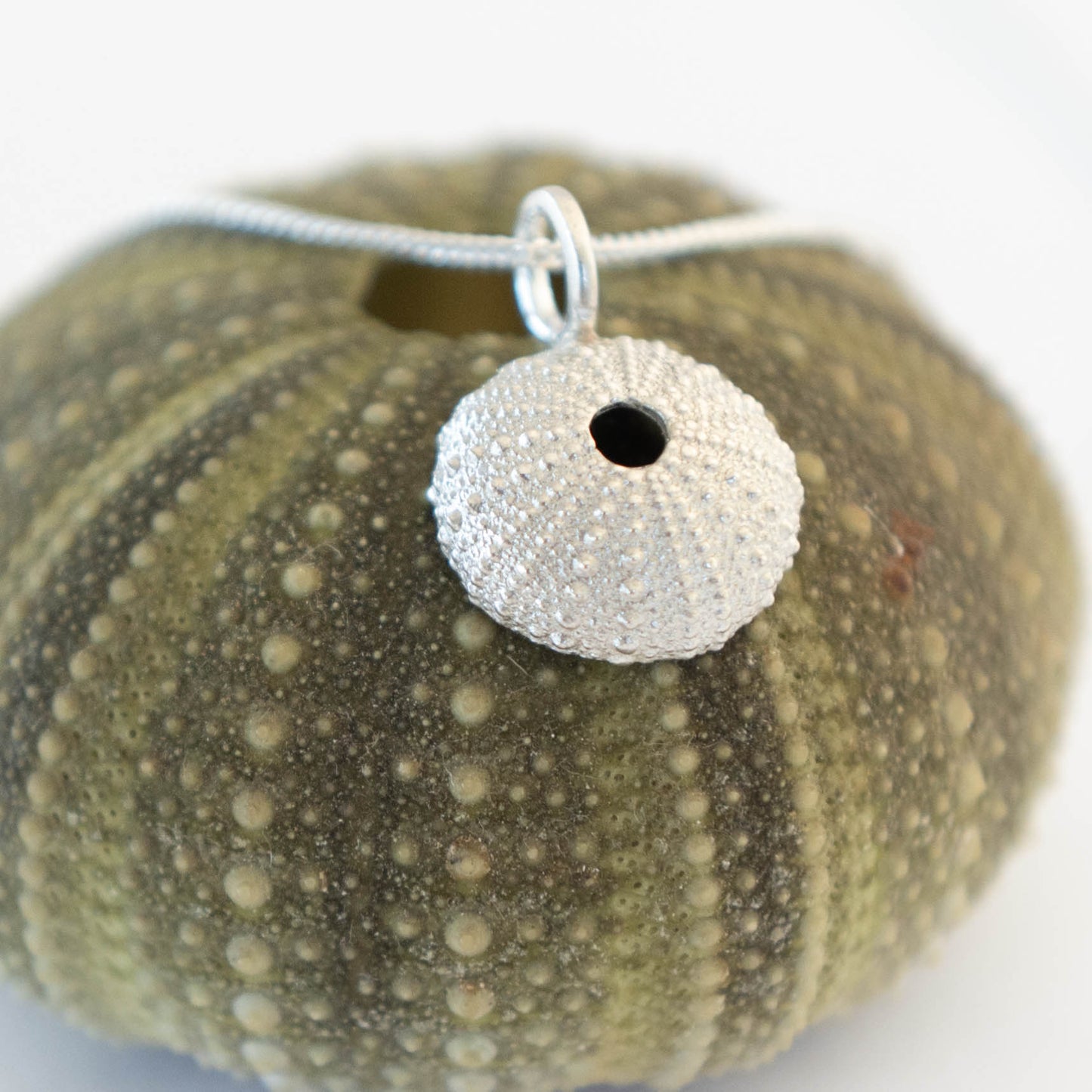 medium sea urchin pendant