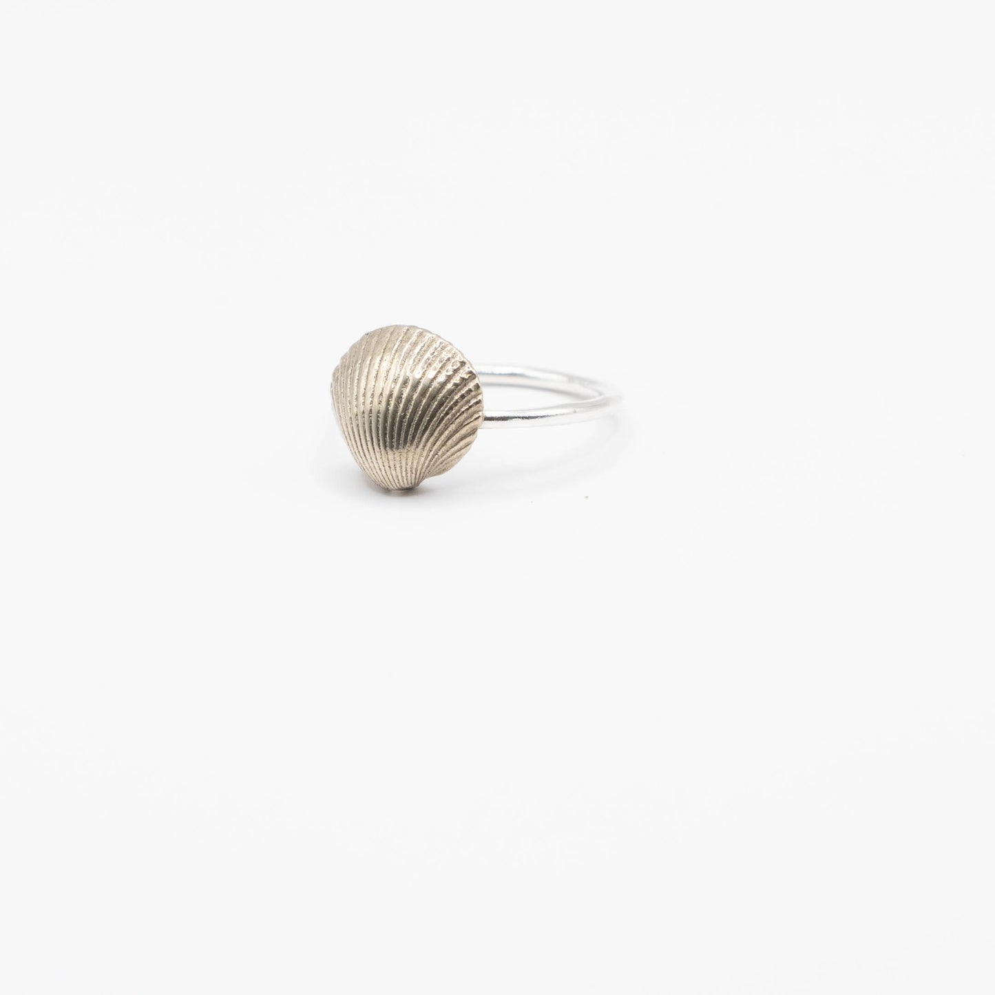 Silver or Brass Scallop Shell Ring