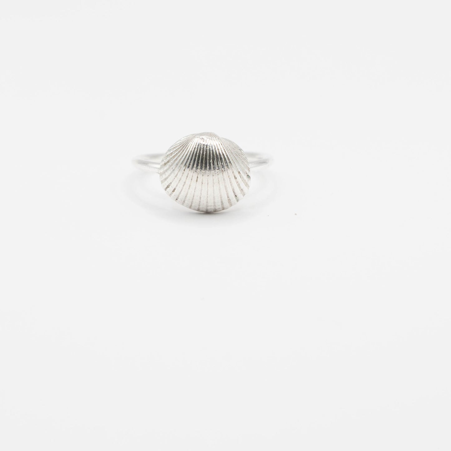 Silver or Brass Scallop Shell Ring