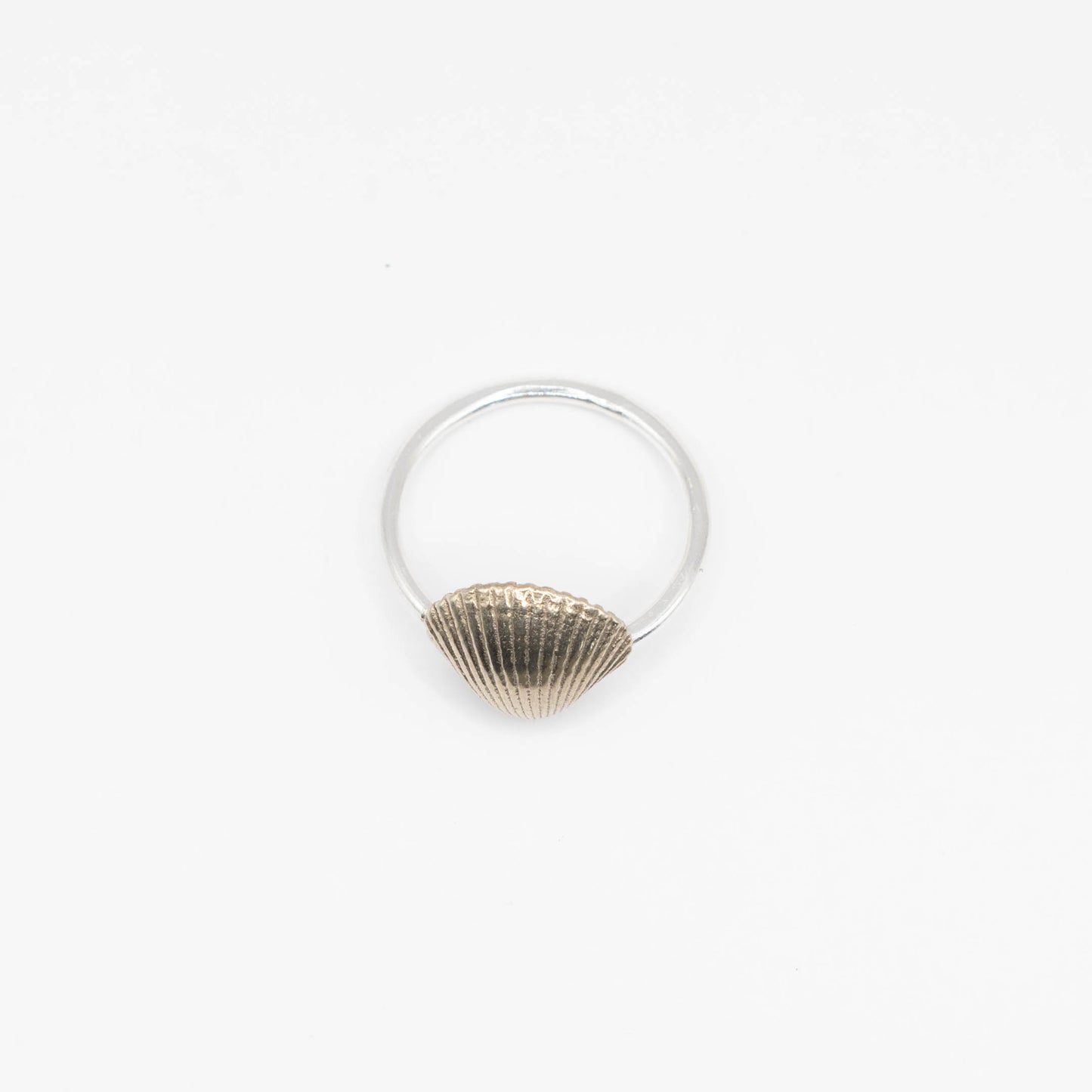 Silver or Brass Scallop Shell Ring