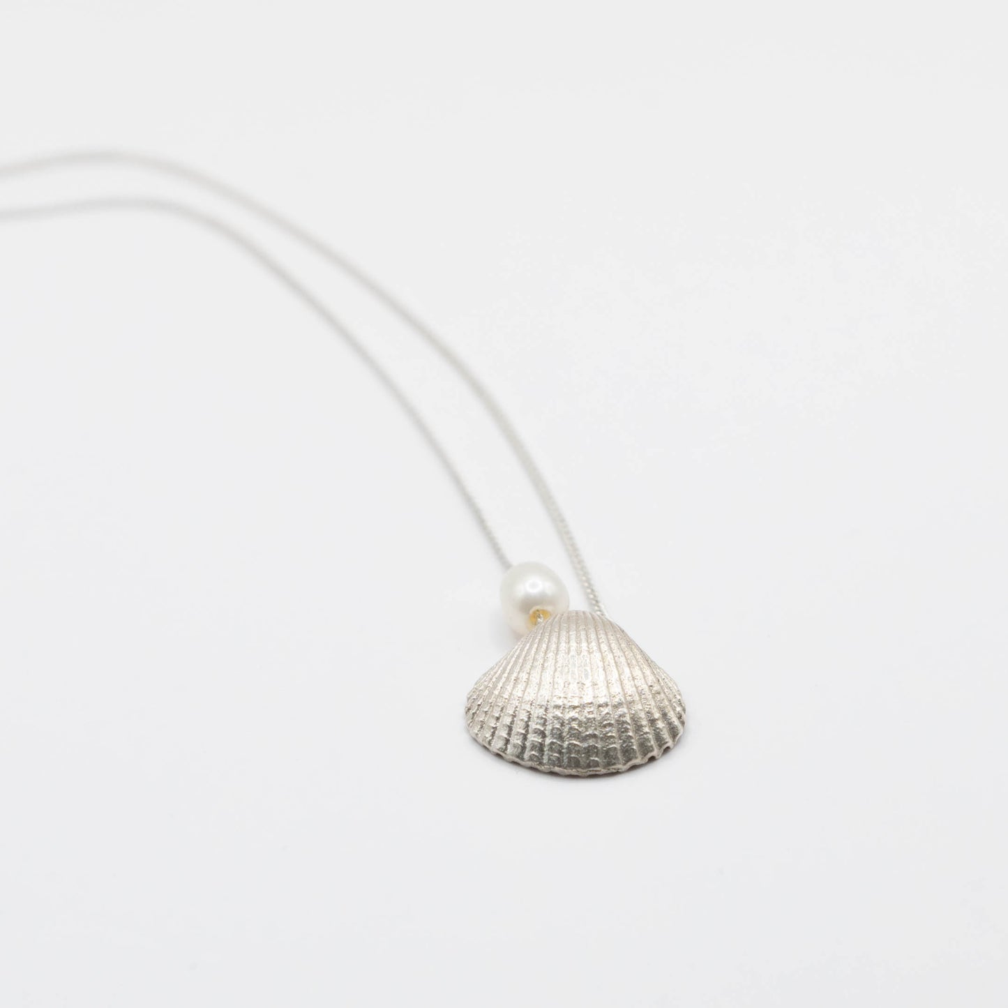 Scallop Shell Pendant Necklace