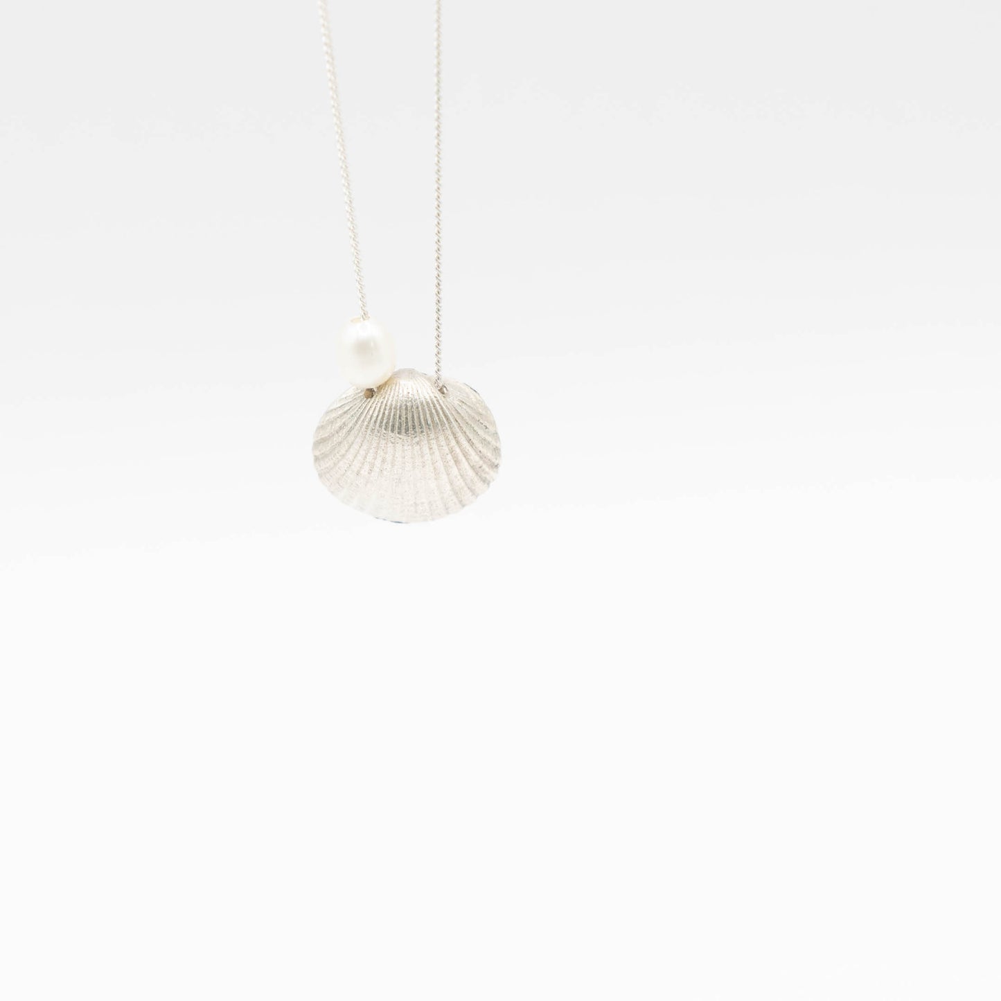 Scallop Shell Pendant Necklace