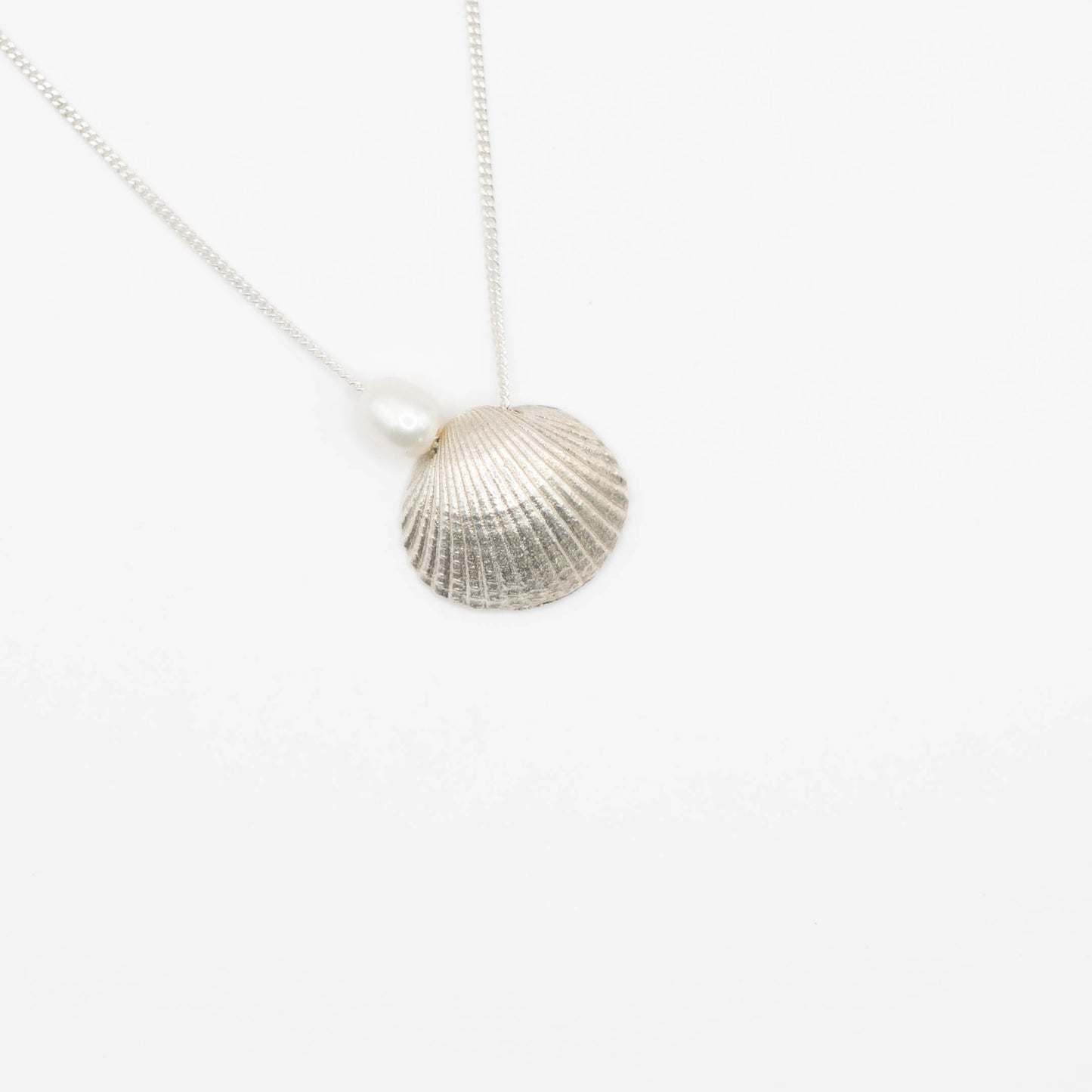 Scallop Shell Pendant Necklace