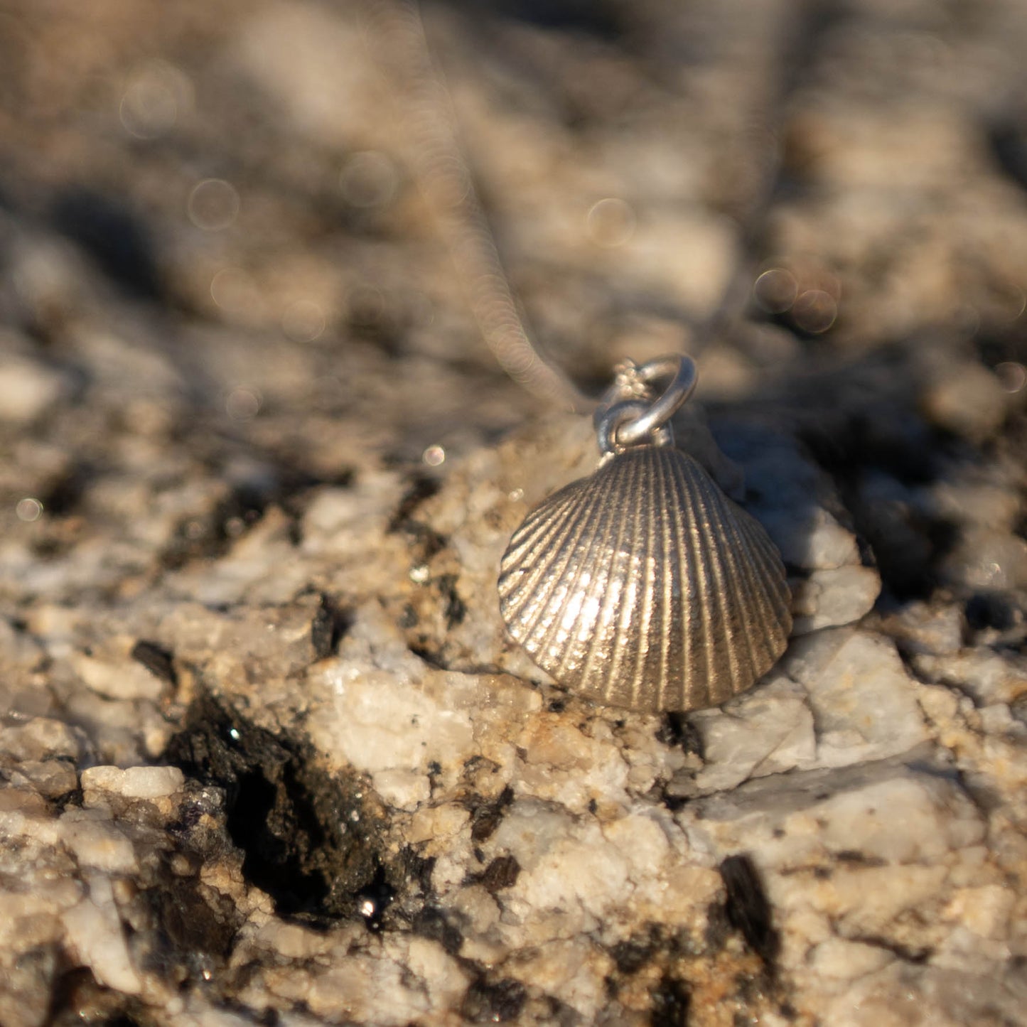 Scallop Shell Pendant Necklace