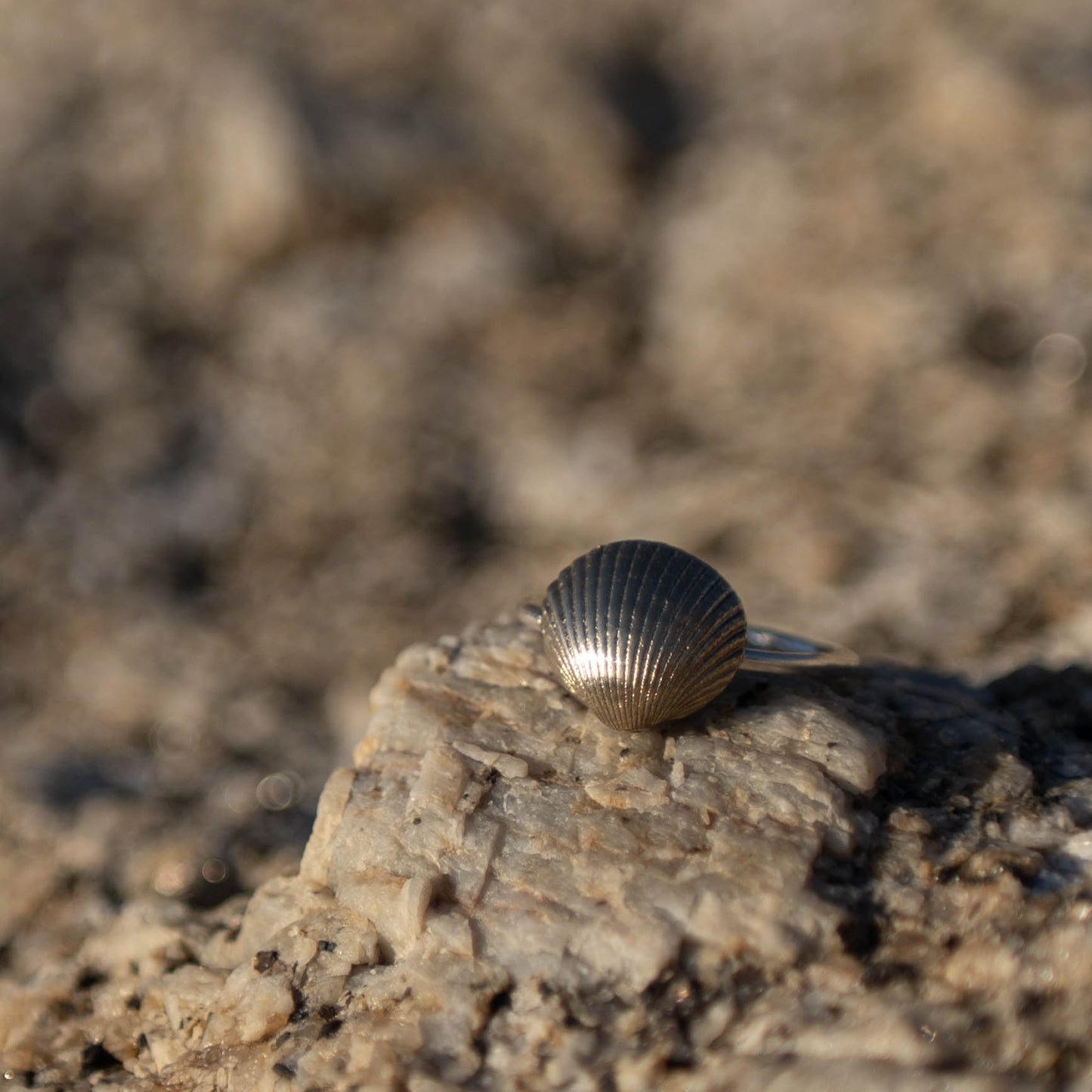 Silver or Brass Scallop Shell Ring