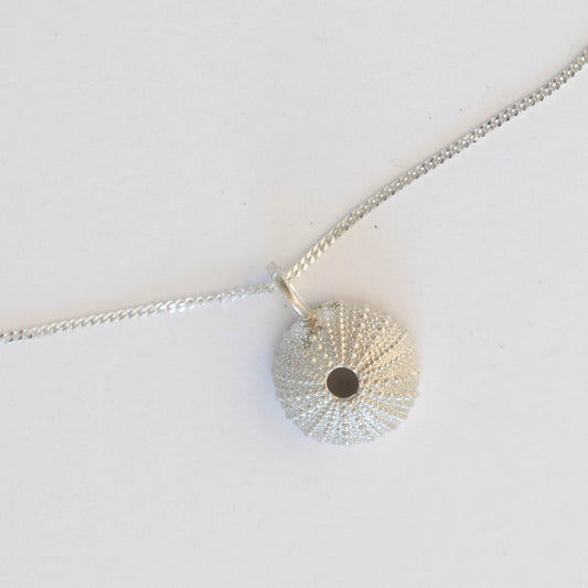 medium sea urchin pendant on a silver chain