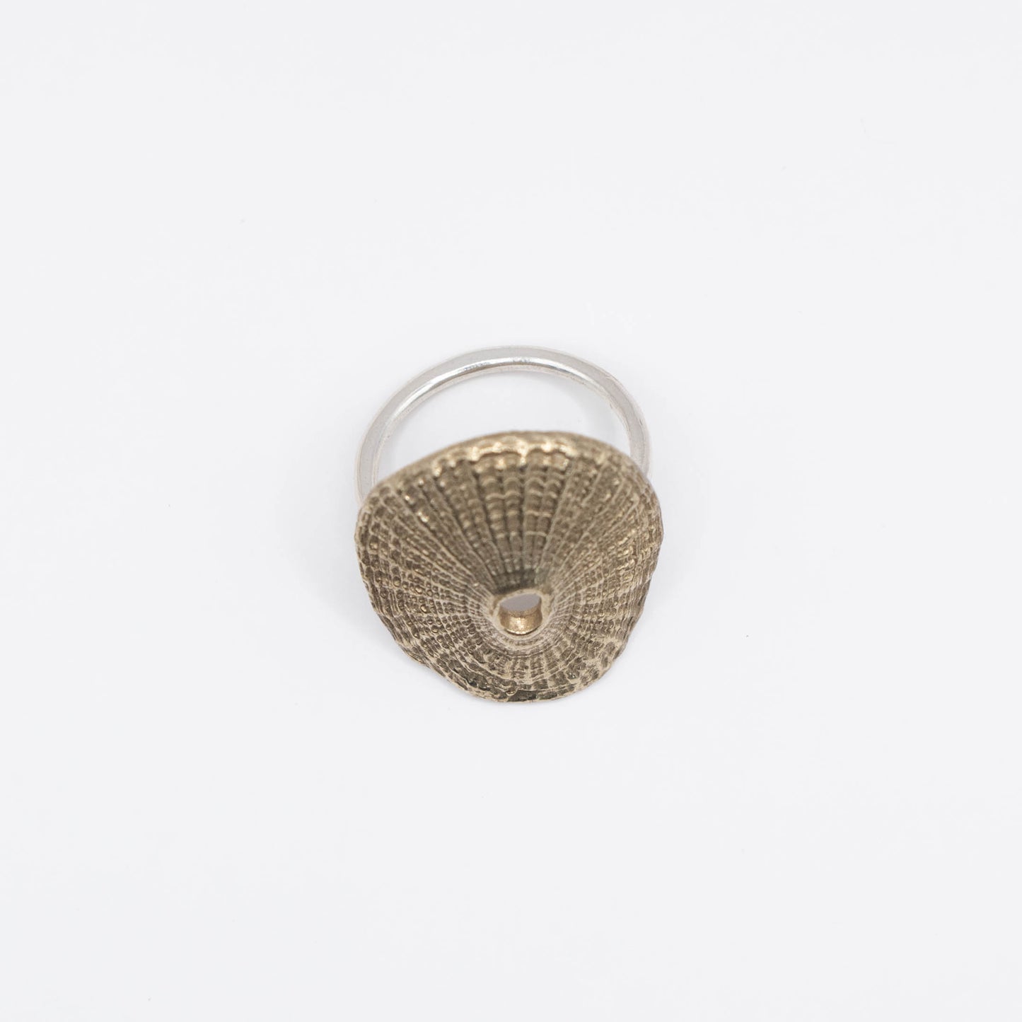 Santa Maria Shell Ring
