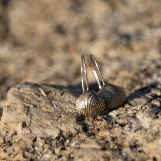 Brass Scallop Shell Earrings