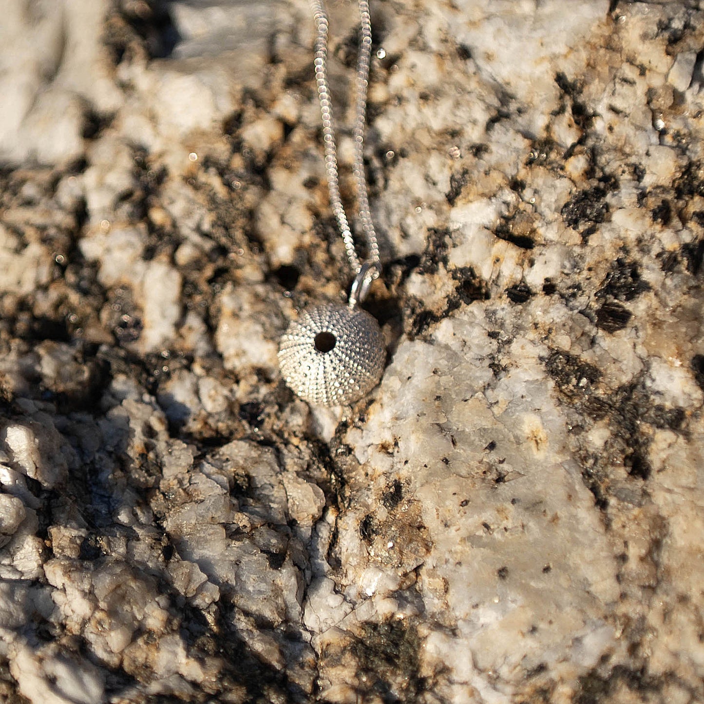 Medium Sea Urchin Pendant