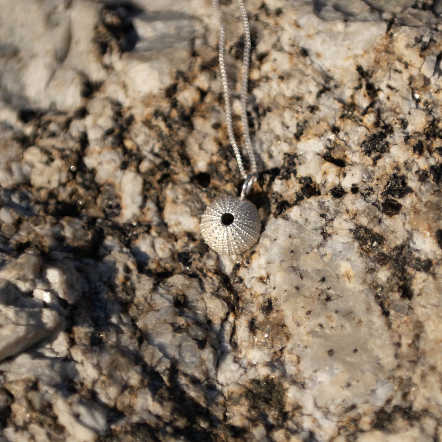 Medium Sea Urchin Pendant