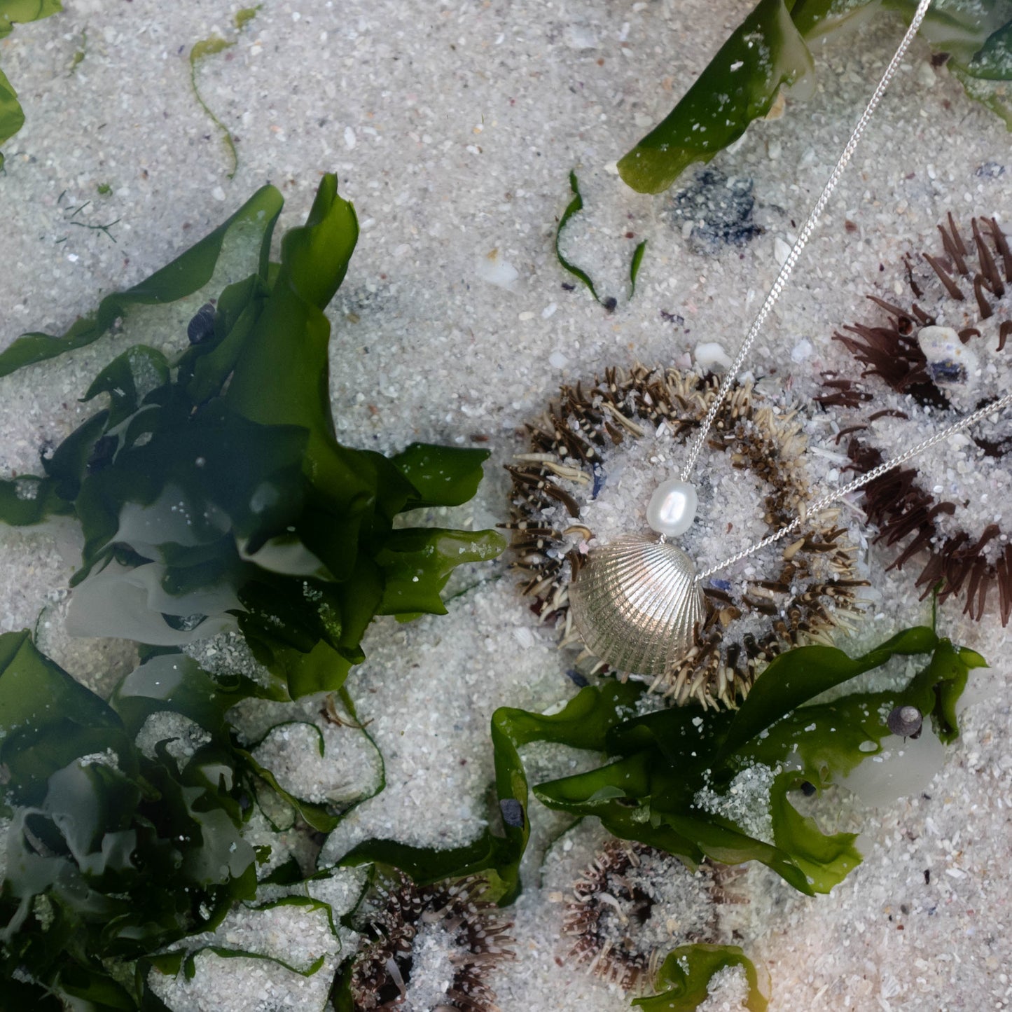 Scallop Shell Pendant Necklace