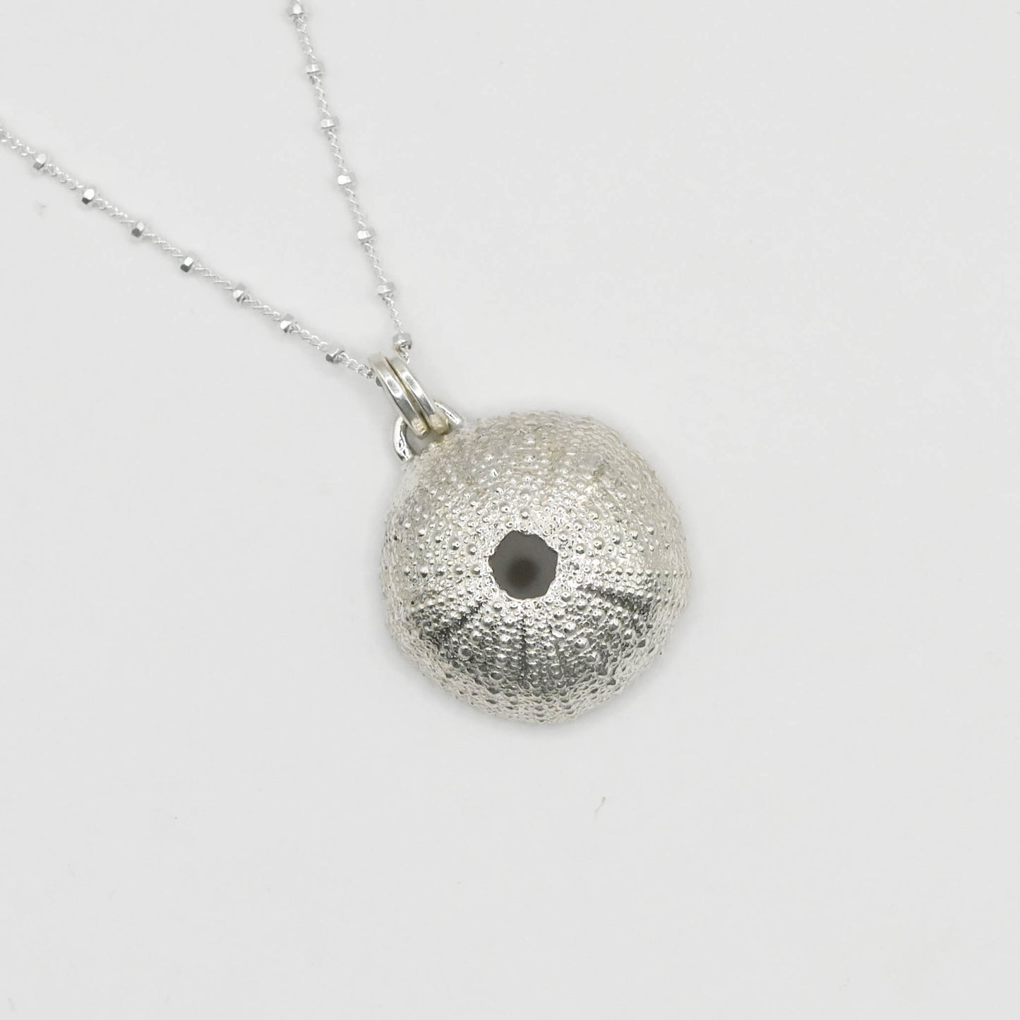 Polished silver sea urchin pendant featuring intricate detailing, hanging from a sleek silver chain. The shiny finish adds a modern and refined touch to the natural beauty of the urchin’s textured shell.