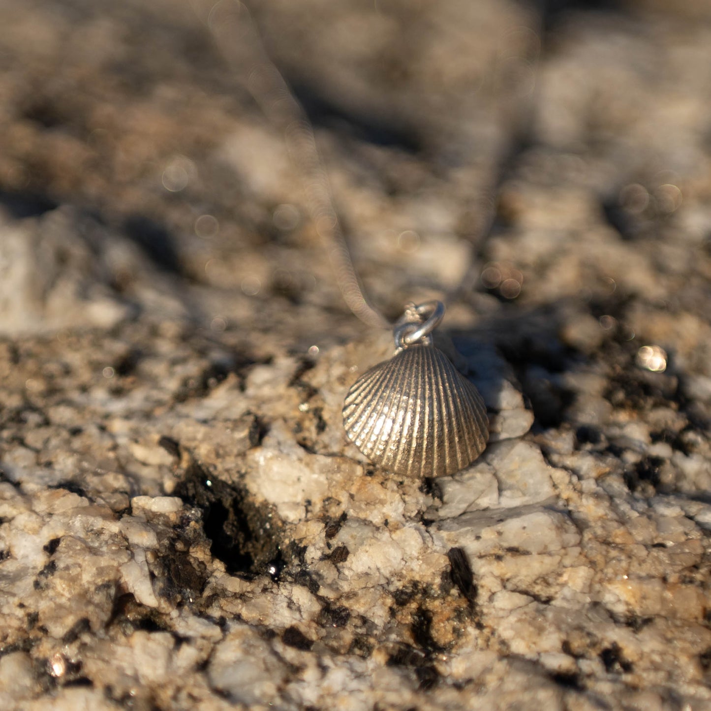Scallop Shell Pendant Necklace