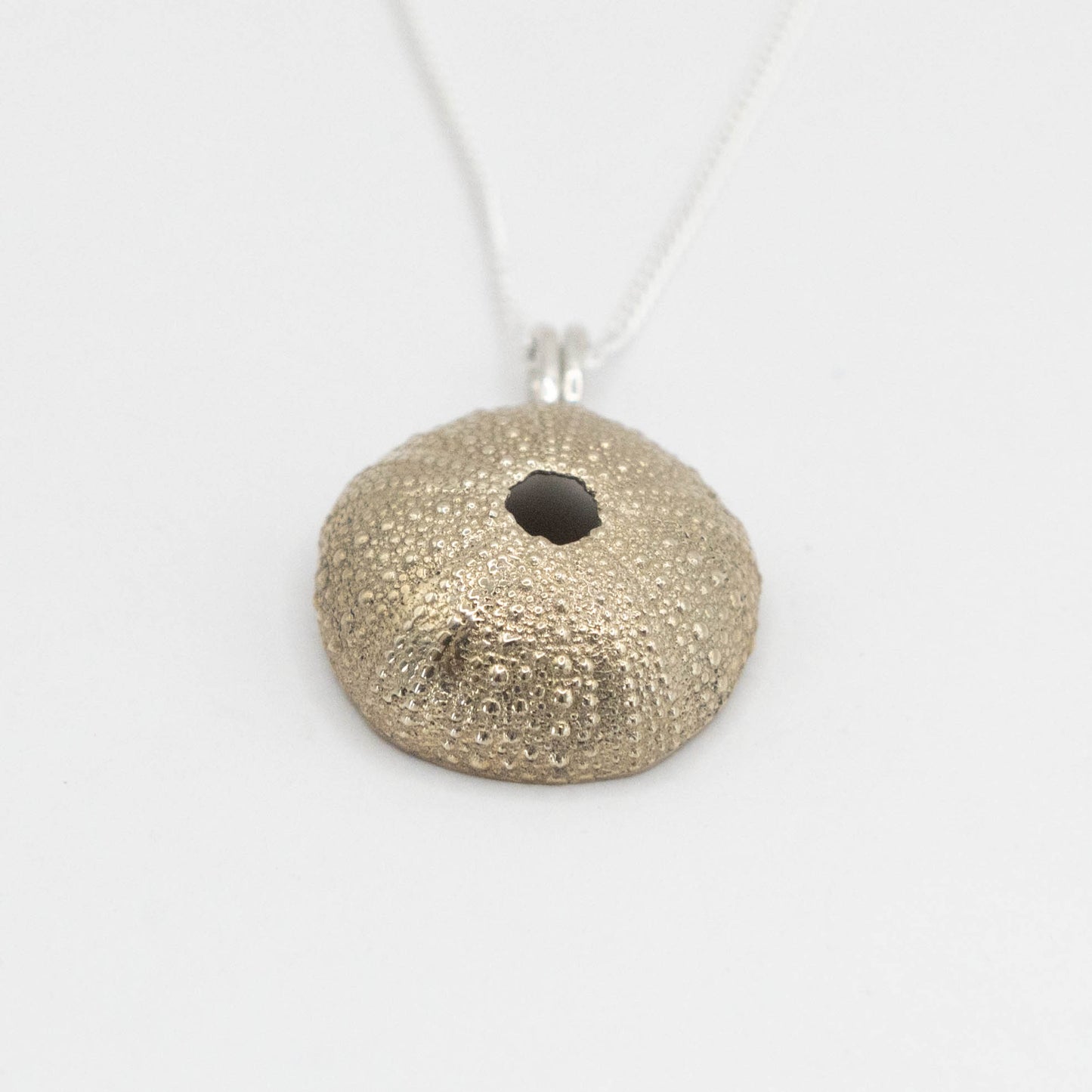 Brass sea urchin pendant with intricate textured detailing, hanging from a fine silver chain. The warm golden tone of the brass enhances the natural beauty of the sea urchin’s shell design.