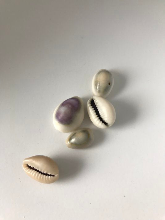 Cowry Shell pendant