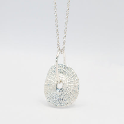 Santa Maria Shell Pendant - angled view showing radiating texture, sterling silver