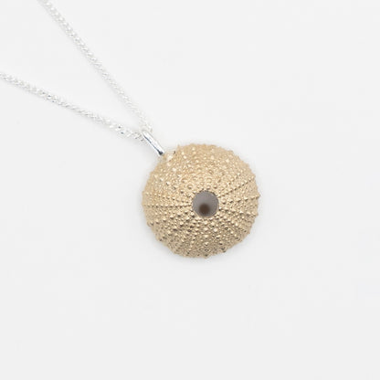 Sea Urchin Pendant -  medium brass  white background