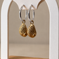 Baby Abalone Shell hoops