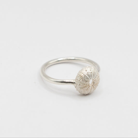 Sea Urchin Ring - sterling silver, angled three-quarter view showing band and shell texture
