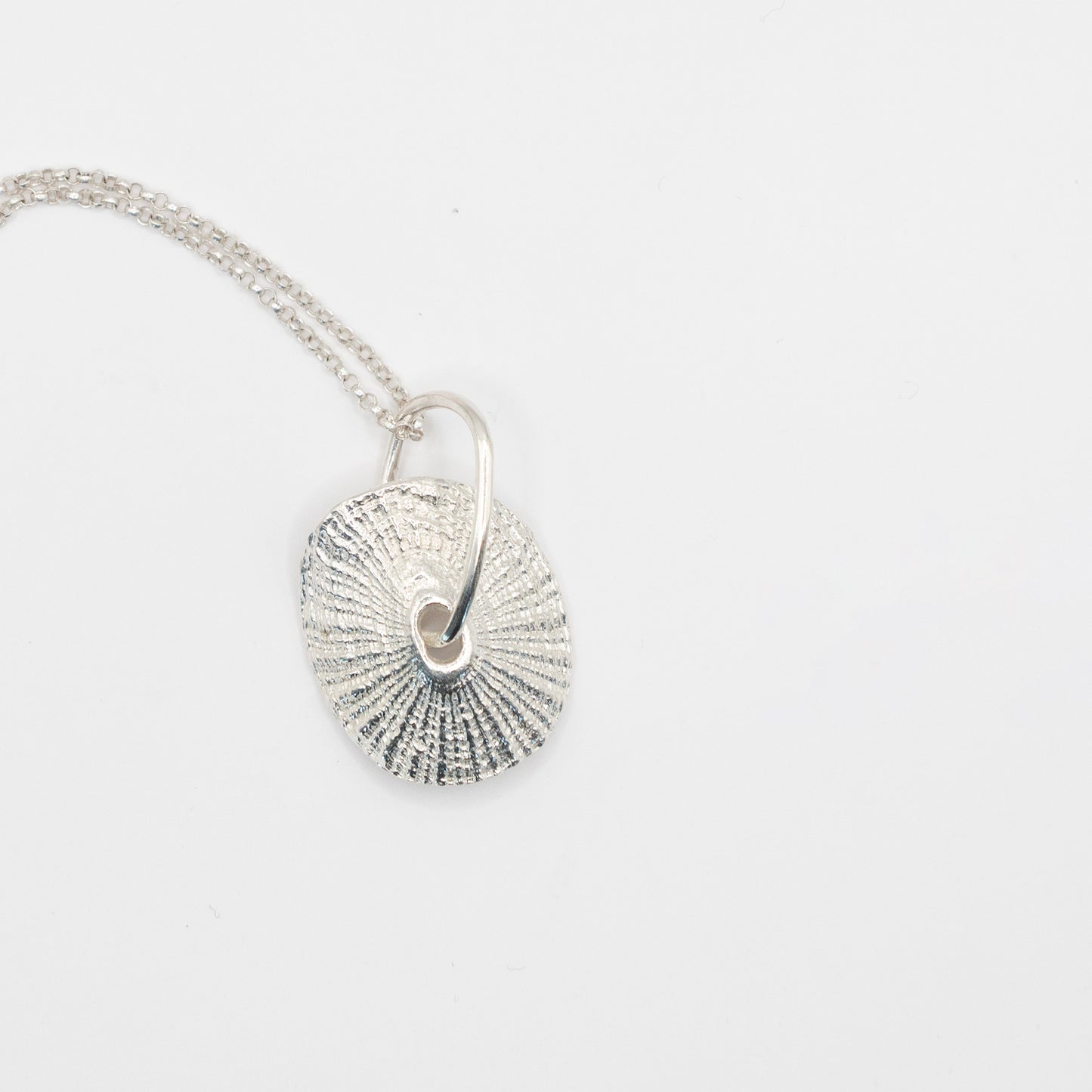 Santa Maria Shell pendant