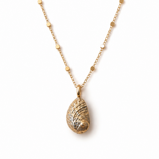 Baby Abalone pendant
