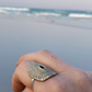 Santa Maria Shell Ring - front view on wooden cone stand, brass shell face and sterling silver band, white background