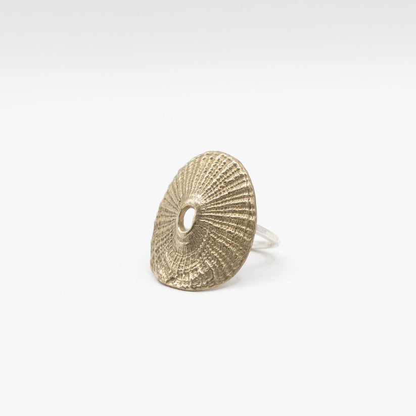 Santa Maria Shell Santa Maria Shell Ring – Natasha Wood Jewellery