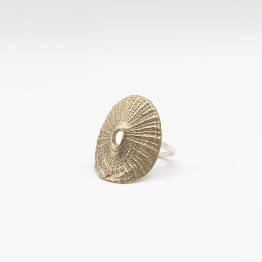 Santa Maria Shell Ring