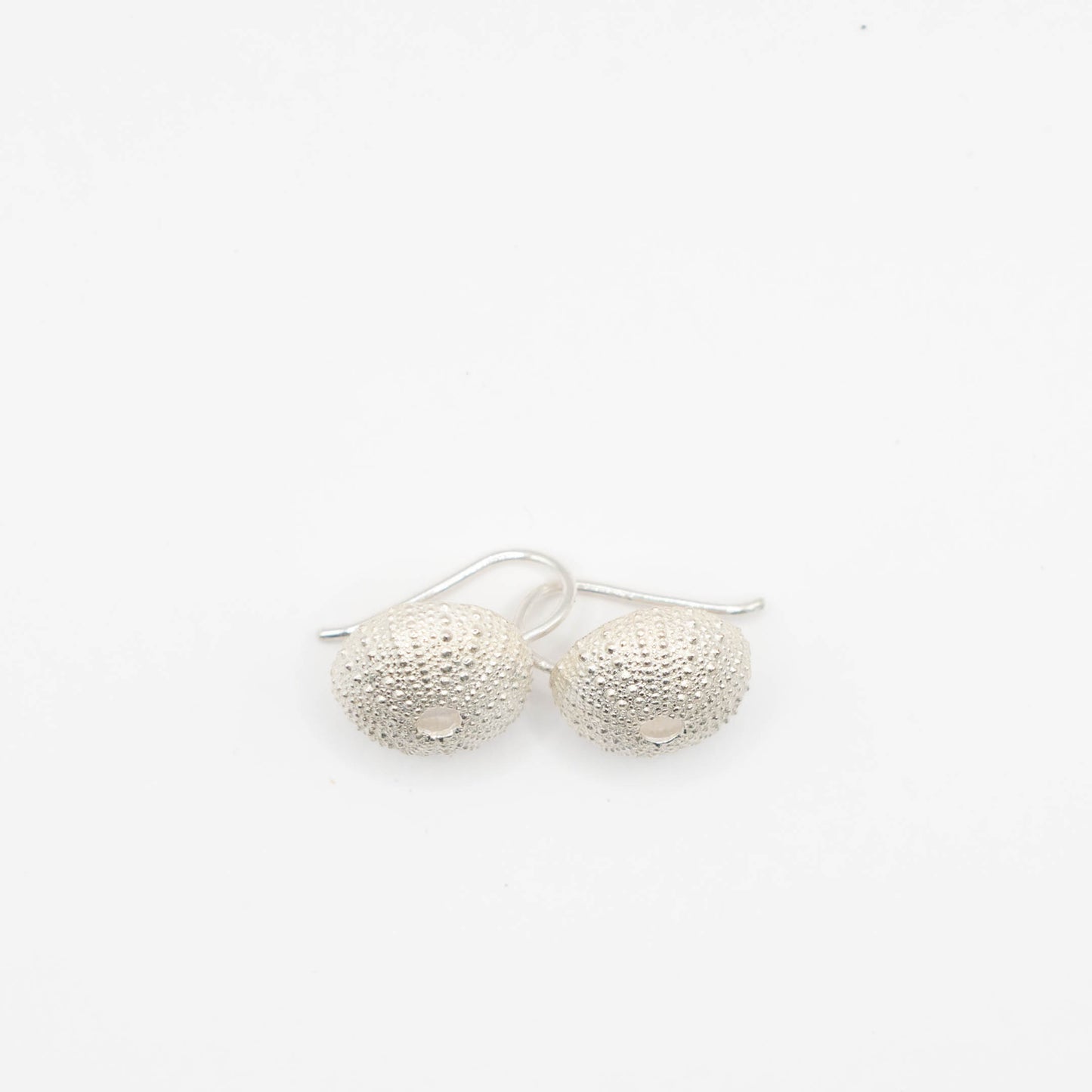 Medium size urchin on hook earrings