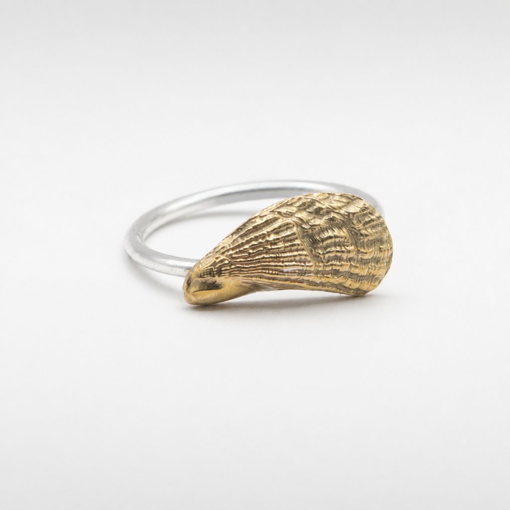 Brass Mussel Shell Ring - top-down view showing band profile and shell detail, sterling silver