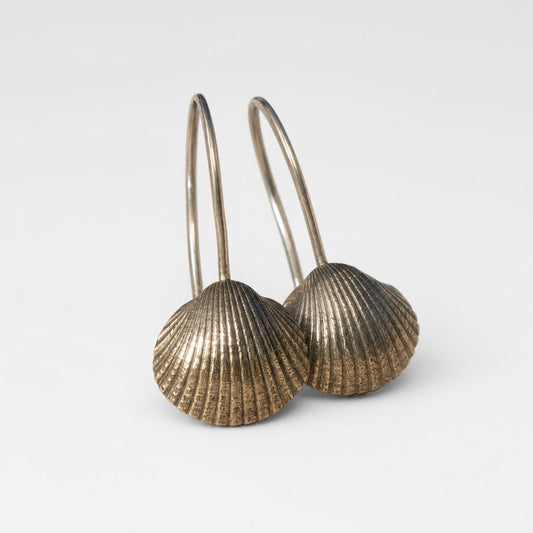 Brass Scallop Shell Earrings - lifestyle shot on rock surface with sterling silver hooks
