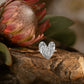 Protea Heart Ring - front view sterling silver with King Protea coin imprint handmade