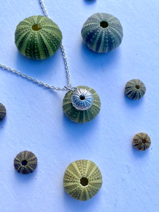 Sterling silver sea urchin pendant on a chain next to natural green sea urchin shells on a light background
