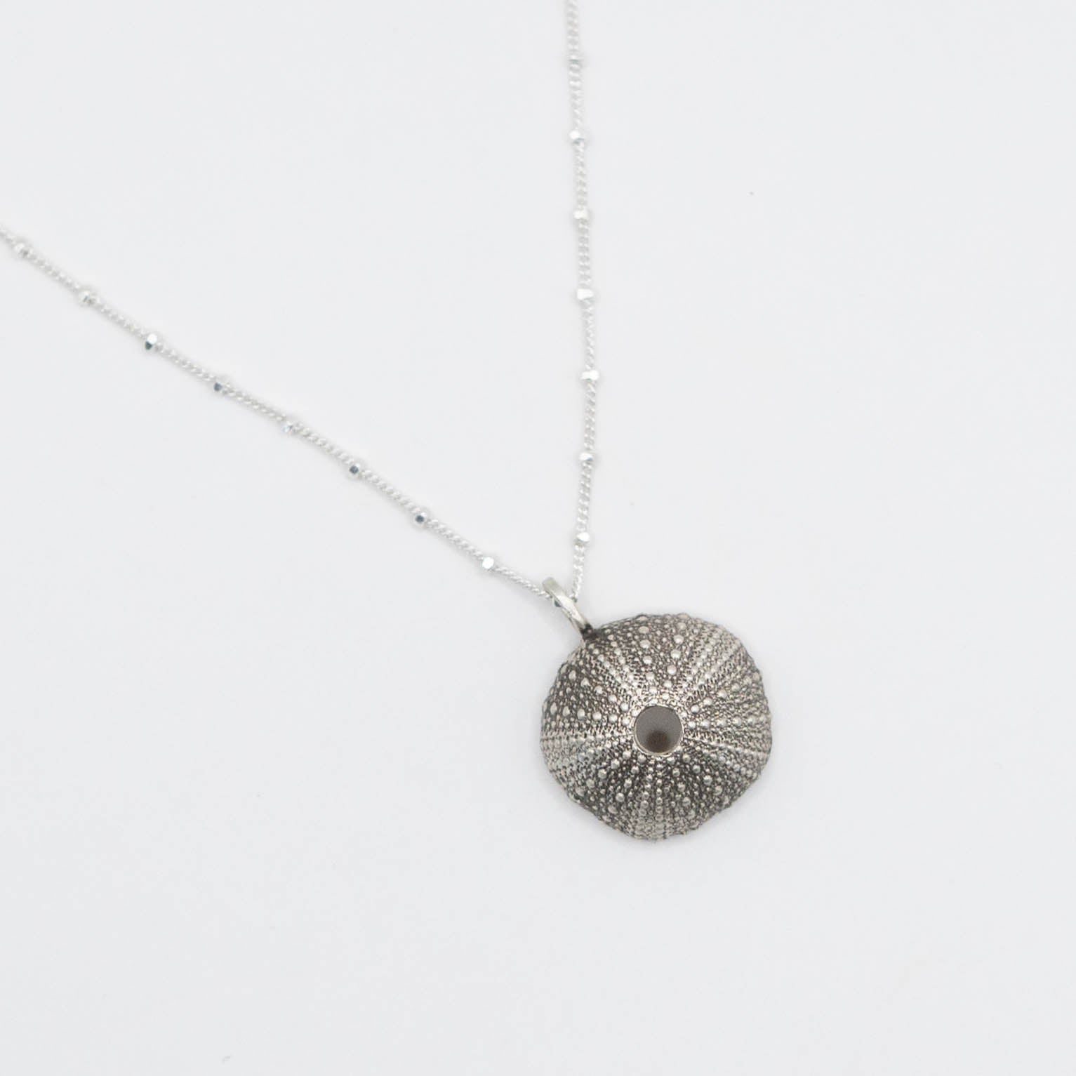 Oxidized silver sea urchin pendant on a delicate silver chain, featuring intricate detailing of the sea urchin’s natural texture with a darkened, vintage finish.