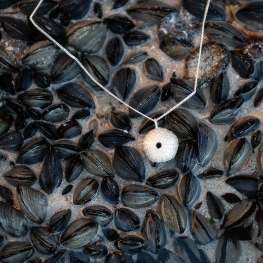 silver sea urchin pendan amongst some mussels