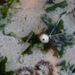 Large Sterling Silver Sea Urchin Pendant - on sandy beach rockpool with seaweed and anemone