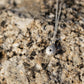 Small Sea Urchin Necklace - sterling silver pendant resting on granite rock, natural coastal setting