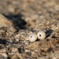 Medium Urchin Hook Earrings in sterling silver - lifestyle on coastal rock, showing spherical urchin form
