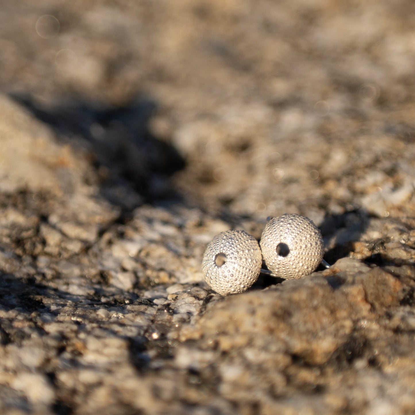 Medium size urchin on hook earrings